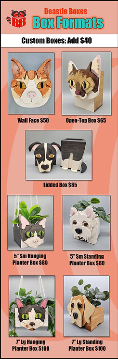 Beastie_Box_Formats_$40.jpg