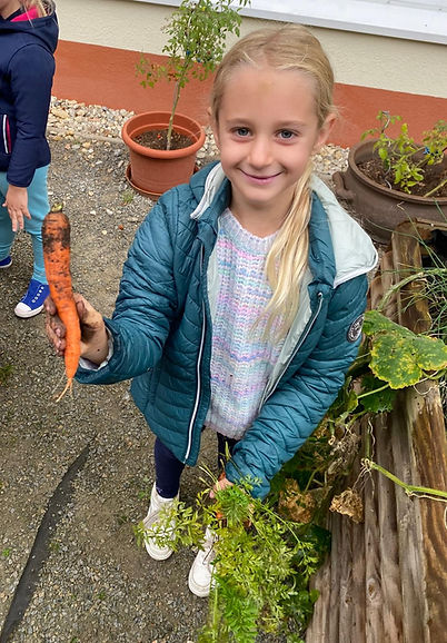 WhatsApp Image 2025-09-30 at 15.13.08.jpeg