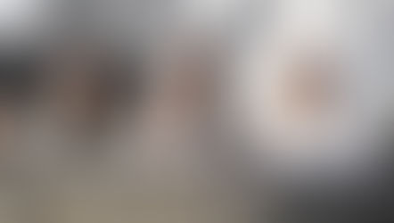 Soledad Alonso asumió como consejera del PJ bonaerense