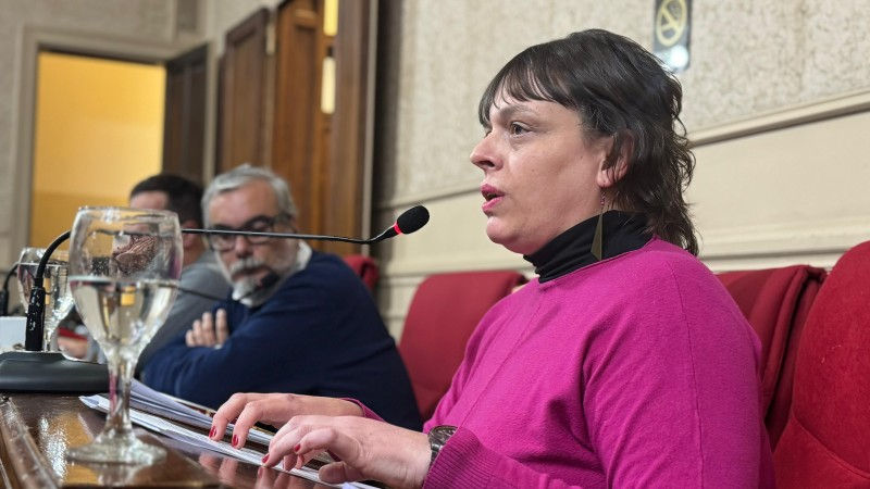 Di Fino: “Si Barja tiene problemas de comprensión de textos debería recurrir a la inteligencia artificial”