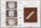 BIAS graphic complete.jpg