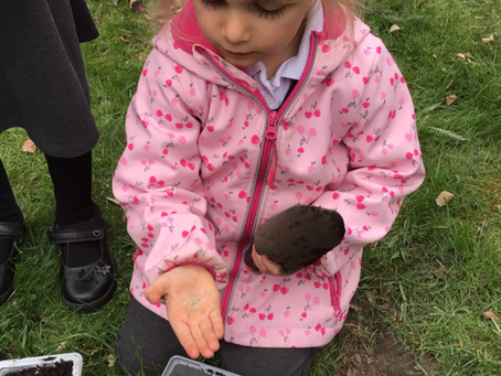 Little Gardeners