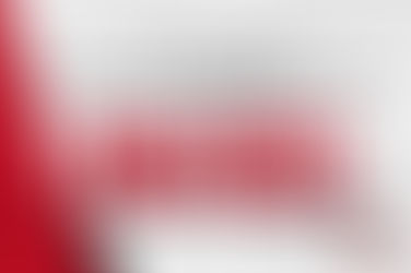 D1 WOMEN GAME DAY FAN VOTE