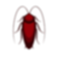 ゴキブリ駆除