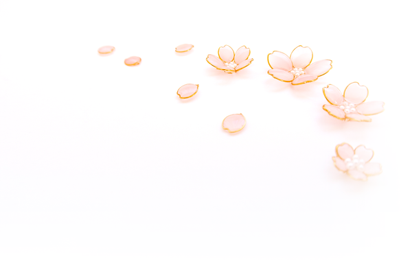 スーパー銭湯花の湯