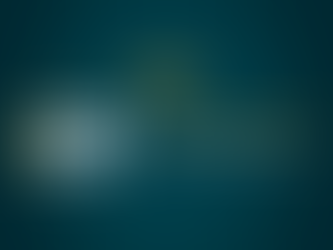 IMMO-News-Day: New year - new keys?