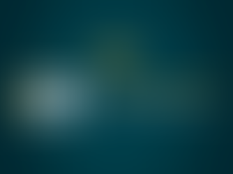 IMMO-News-Day: New year - new keys?