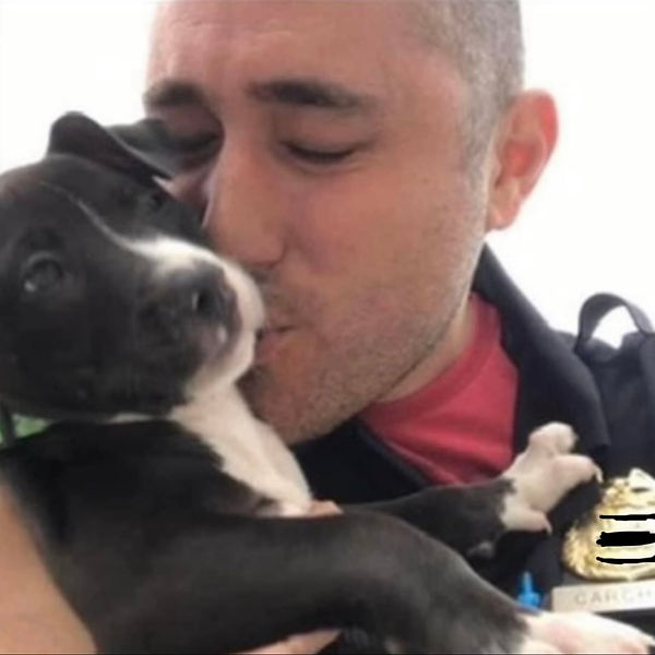  Tom Carchidi pic dog.jpg