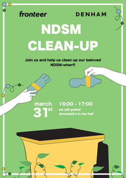 ndsmcleanup