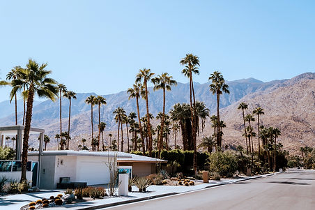 luxury-new-build-homes-palm-springs-modernism.jpg