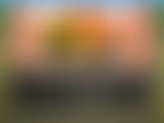 SA Summer Camp: Photos of our African Lion Safari trip!