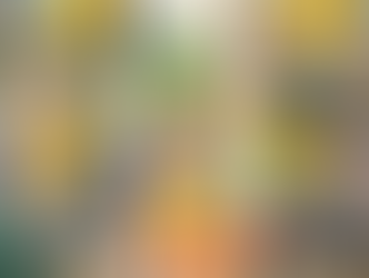 Spring Holidays Throughout Our Centre