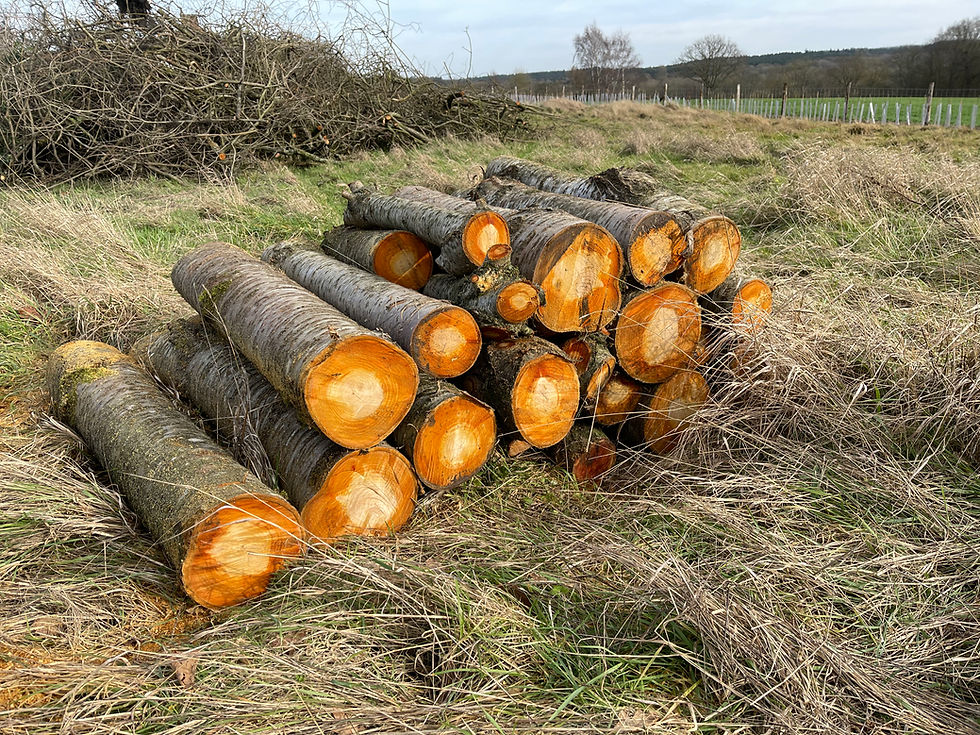 ree