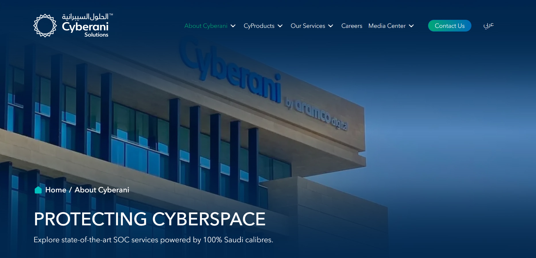 Cyberani web page build
