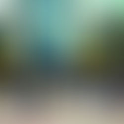 Teach For Mongolia Teachers’ "Success Story" Fall Meeting 