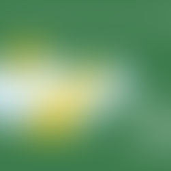 Шийдэлч Сурагч 2026: Сонгон Шалгаруулалтын Үр Дүн