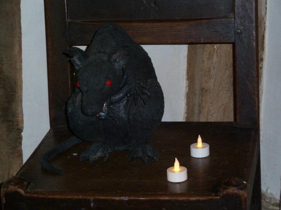 Scary Rat