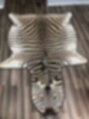 51561989_378044972745848_472848887810778