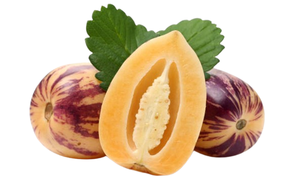 image-removebg-preview (47).png