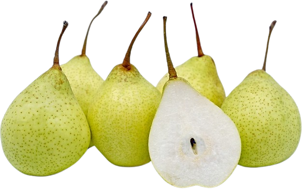 image-removebg-preview (41).png