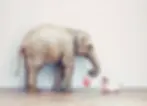 A gentle elephant offering a large red lollipop to a curious baby on the floor, symbolising trust, care, and protection — core values of Nellie Supports' guiding principles.