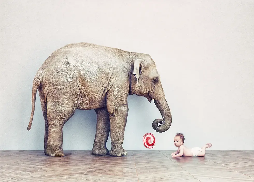 A gentle elephant offering a large red lollipop to a curious baby on the floor, symbolising trust, care, and protection — core values of Nellie Supports' guiding principles.