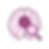 Icon of a brain with network nodes and a check mark, representing mental capacity assessments and decision-making support