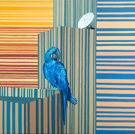 Perspectivas para além da visão
Renata Santini