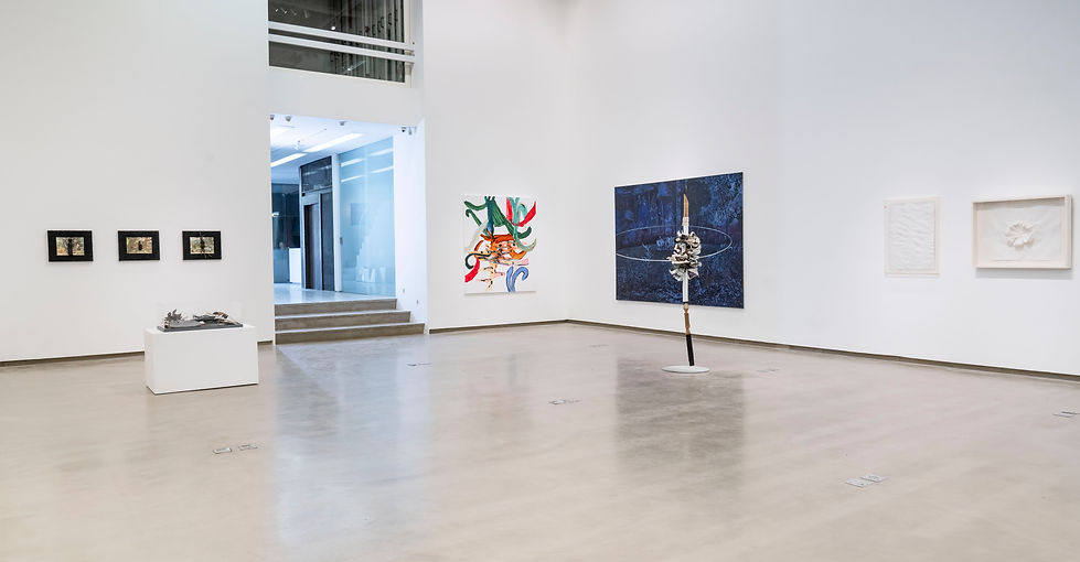 (2024) Pinacoteca Botânica_Anita Schwartz (foto Rodrigo Lopes)_04.jpg