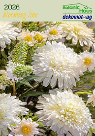 blooming line 2026 cover