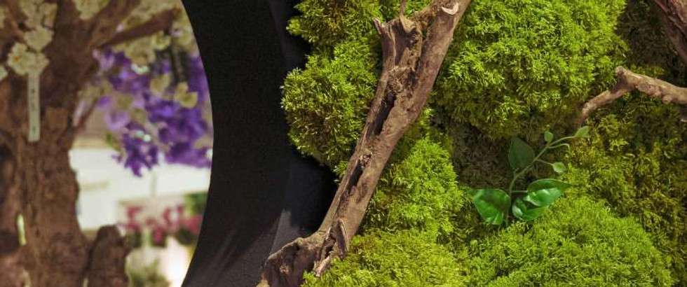 The image shows a botanical decorative composition with artificial moss, natural branches, and faux plants. This type of wall decor is ideal for shop windows, lobbies, or commercial spaces, offering a natural look without maintenance.