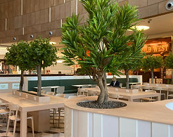 Kunstbäume-Echtholzstamm-BotanicHaus-Gastronomie-Kunstpflanzen-Indoor-Baumdekoration_600x6