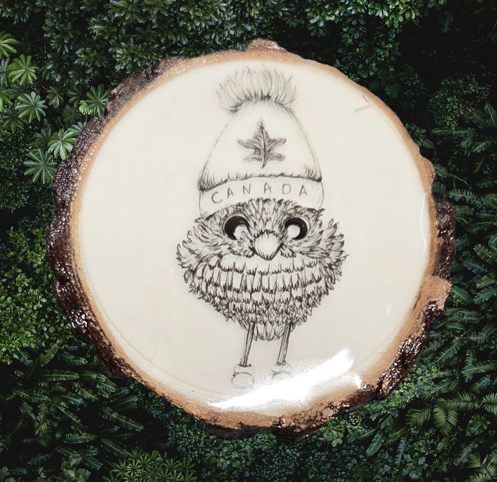 Thumbnail: Snow Bird