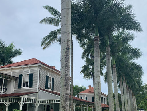 An Enduring Friendship