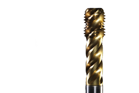 IMG_2428 (1).png