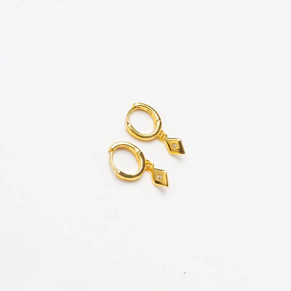 Hugo Earrings