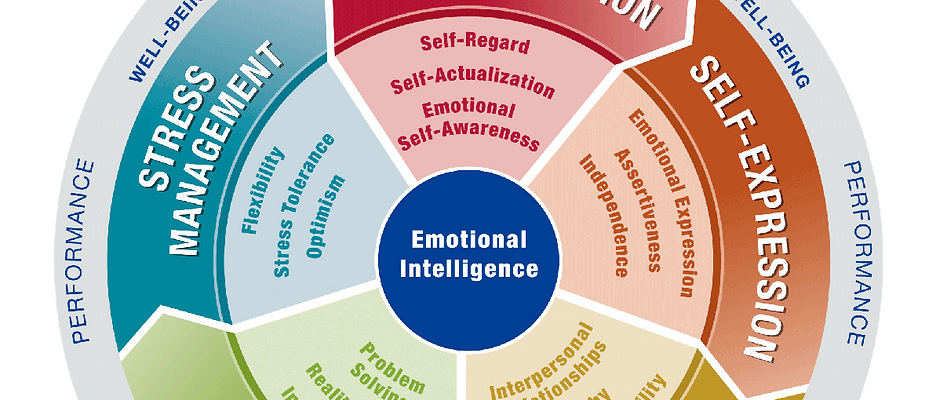 The EQ-i 2.0 Assessment