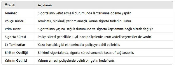 WhatsApp Image 2024-11-12 at 13.01.22.jpeg