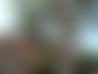 A Fire That Never Goes Out: A Kiln, a Tree, and 500 Years of Quiet Guardianship in China