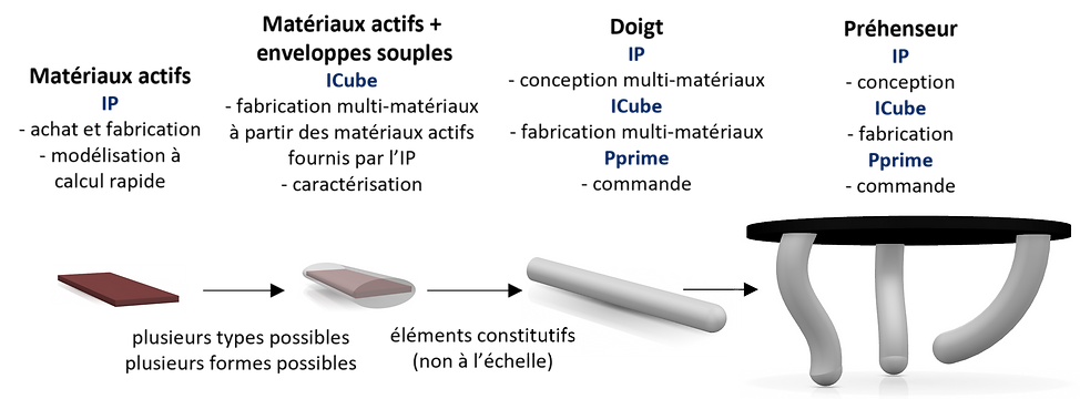 Image1.png
