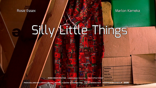 SLT poster 2.png