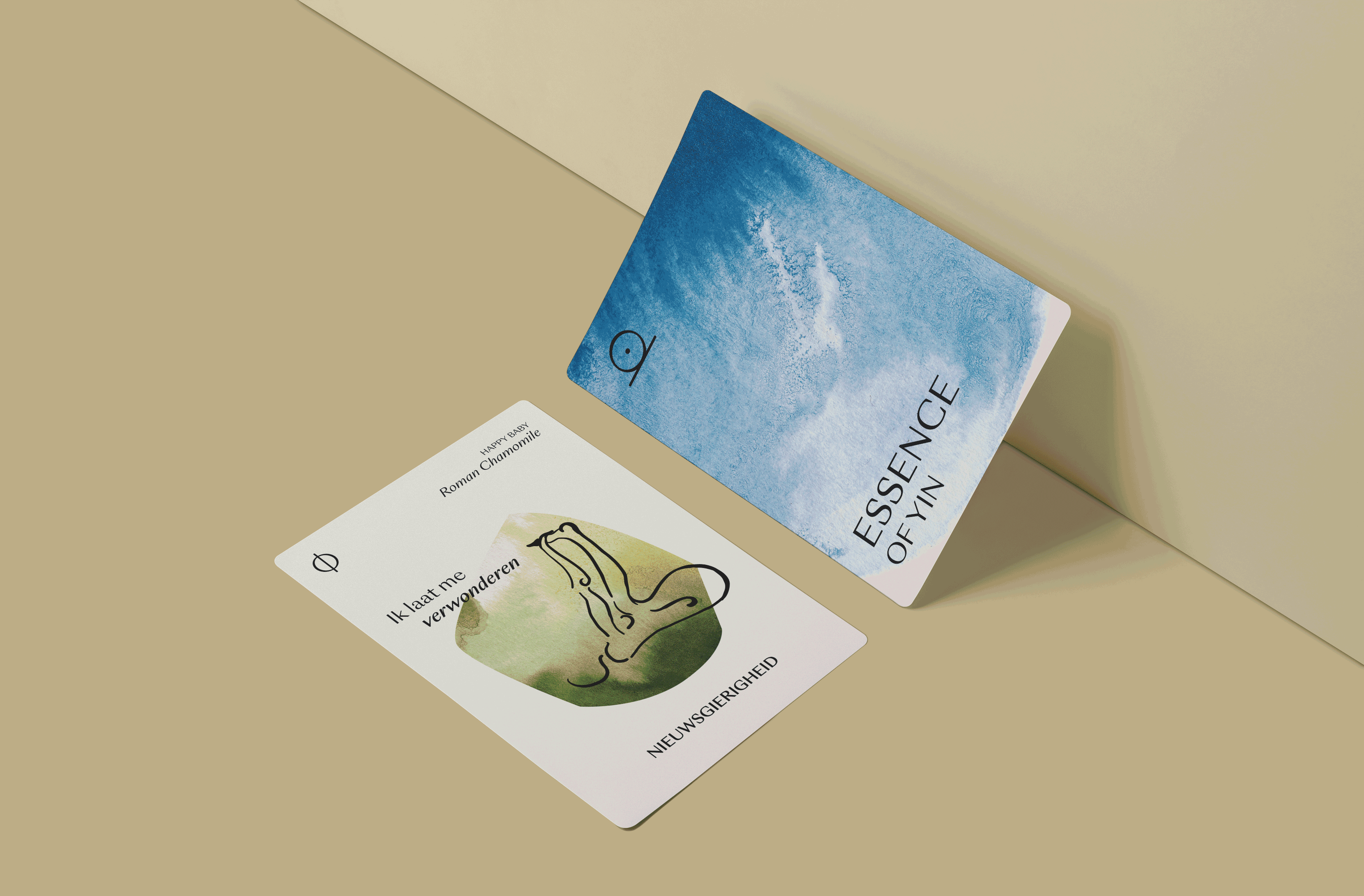 1.-Animatie-front-&-back.gif