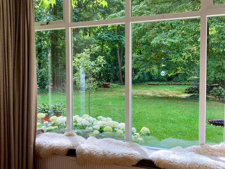 Zen in de Zomer (dagretreat zaterdag 26 augustus)
