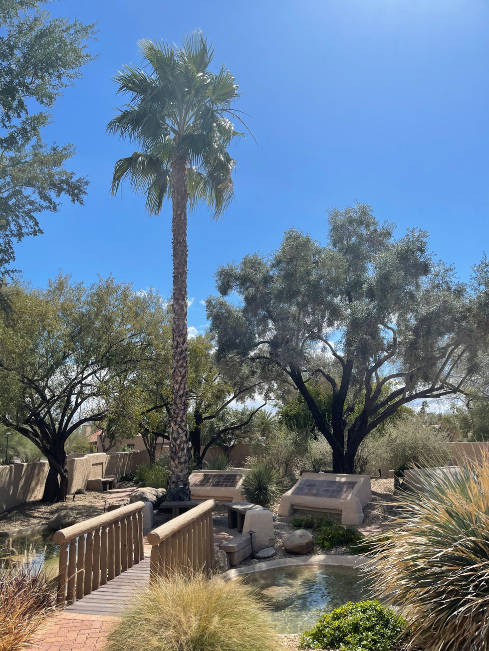 Rio verde memorial garden 03