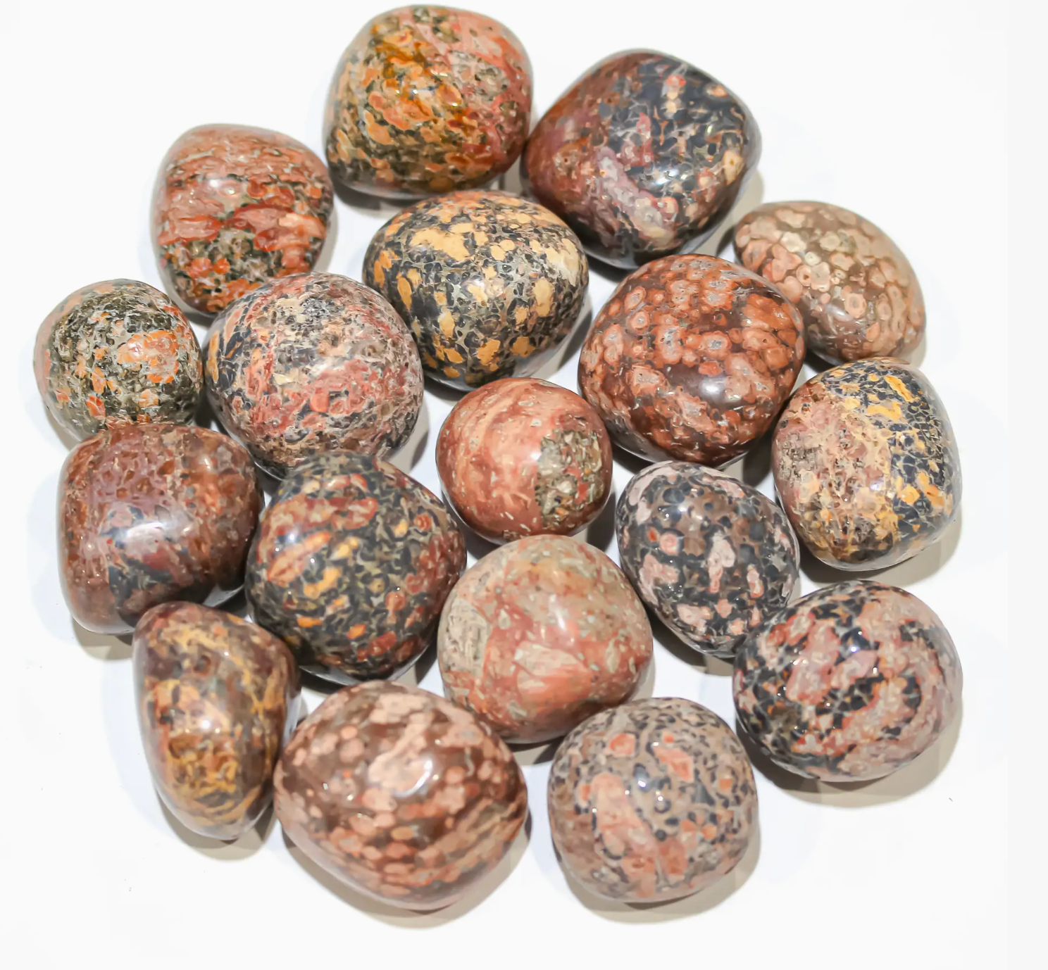 Leopardskin Jasper Tumbled Crystal