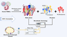 Biomimetic proteolipid vesicles for reverting GPI deficiency in paroxysmal nocturnal hemoglobinuria