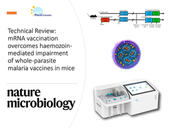 Technical Review: mRNA vaccination overcomes haemozoin-mediated impairment of whole-parasite malaria vaccines in mice