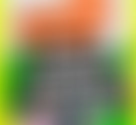 Llegaron los Kids Choice Awards 2018