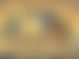 Para Participar de um Leilão Tem Que Ter o Valor a Vista?