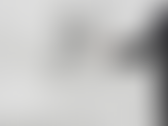 O Que é Carteira Profissional (CP)?